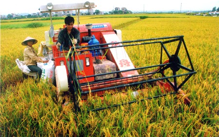 Connecting enterprises for agricultural development - ảnh 1